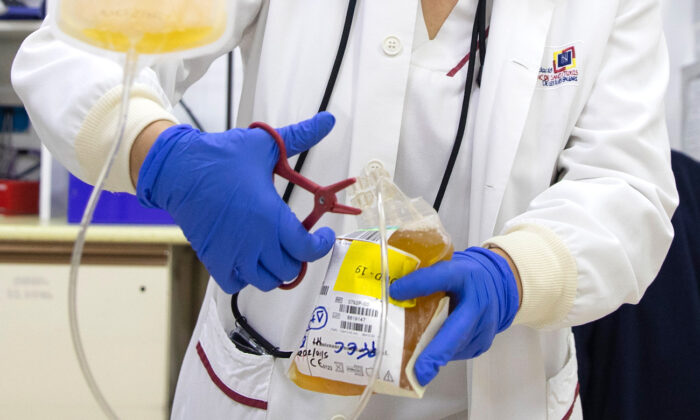 Un técnico de laboratorio se prepara para procesar una bolsa de plasma sanguíneo como parte de un proyecto de investigación sobre el plasma de pacientes recuperados de COVID-19, el 5 de octubre de 2020. (Jaime Reina/AFP vía Getty Images)