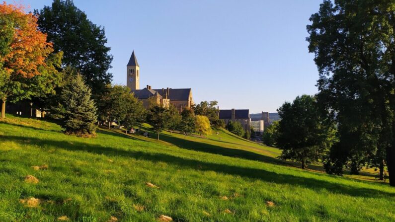 Campus de la Universidad de Cornell en Ithaca, Nueva York. (guillegalmes/Pixabay.com)