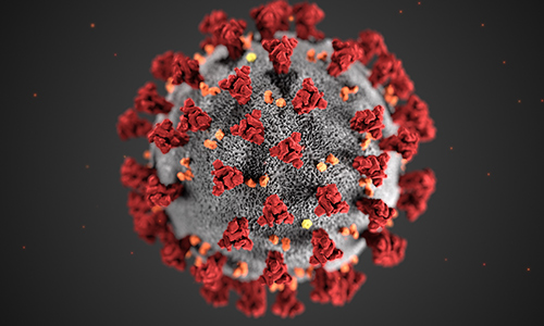 Una representación del nuevo coronavirus. (CDC)
