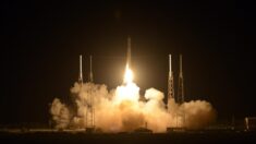 Despega desde Florida misión de abastecimiento de SpaceX rumbo a la EEI