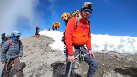 Rescatan a perro callejero que estuvo perdido en la montaña más alta de México durante un mes