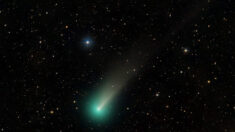 Superbrillante cometa «Leonard», el más deslumbrante de 2021, hará su aparición antes de Navidad