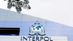 Interpol detiene 216 personas en operación contra red de tráfico de migrantes en América Latina