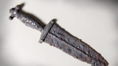 Hombre encuentra daga romana de 2000 años de antigüedad de una batalla, con su detector de metales