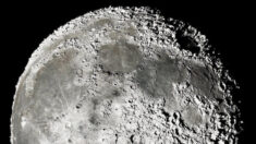 Fotógrafo astrológico usa 200,000 fotos de la Luna para mostrar los cráteres lunares y sus texturas