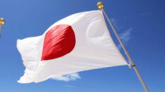 Japón envía expertos en bombas para inspeccionar «misteriosa bola» arrastrada hasta la costa