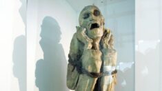 Descubren rara momia de 800 años en Perú, con el cuerpo atado y las manos cubriendo su rostro
