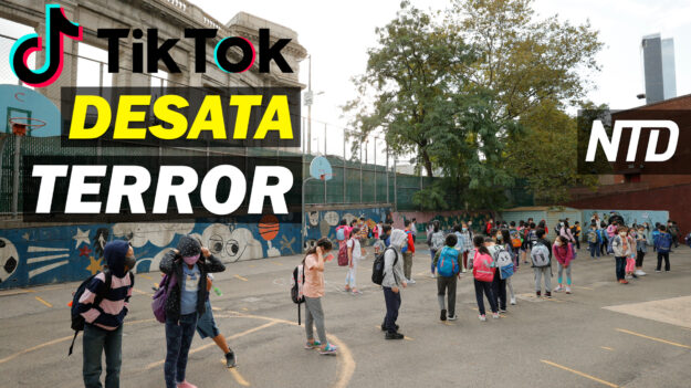 NTD Noticias: Escuelas reaccionan por amenazas de Tik Tok; Advertencia de Casa Blanca a no vacunados