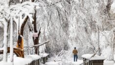El noreste de EE.UU. sufrirá fuertes nevadas y frío ártico este fin de semana
