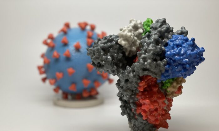Una impresión 3D de una proteína espiga de SARS-CoV-2, el virus que causa el COVID-19, frente a una impresión 3D de una partícula del virus SARS-CoV-2. (Cortesía de NIAID/RML)
