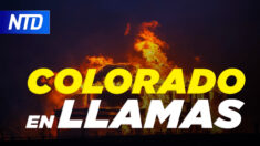 NTD Noticias: Incendio masivo en Colorado; Twitter suspende a Marjorie Taylor Green; Extienden mandato en NY