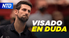 NTD Noticias: Novak Djokovic admite error en formulario de entrada; Hospitales bajo presión por ómicron