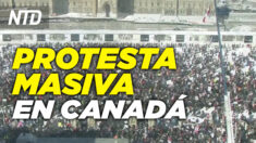 NTD Noticias: Cientos de camioneros protestan en Ottawa, Canadá; Video filtrado de inmigrantes causa revuelo
