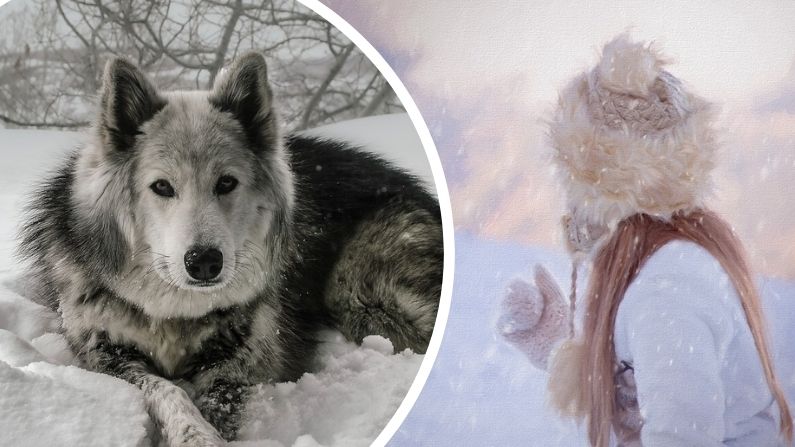 Niña sobrevive toda la noche bajo tormenta de nieve abrazando a un perro callejero