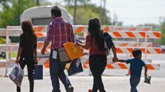 Demanda en EE.UU. pide detener programa de acogida de menores centroamericanos