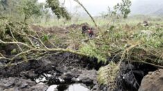 Rotura de oleoducto en Ecuador genera vertido de petróleo en zona amazónica
