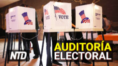 NTD Noticias: 11,000 no ciudadanos potenciales registrados para votar