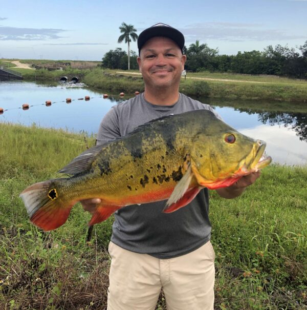 Comisión de Conservación de Pesca y Vida Silvestre de Florida