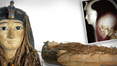 Científicos «desenvuelven virtualmente» momia de 3500 años de Amenhotep I revelando antiguo misterio
