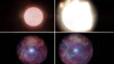 Astrónomos observan por primera vez explosión de supergigante roja 10 veces más grande que el sol