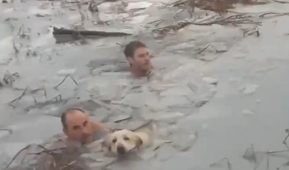 Rescatistas españoles se sumergen en un lago congelado para salvar la vida de un perrito