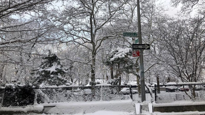 Árboles cubiertos por la nieve el viernes 7 de enero de 2022, en el parque Riverside, en el Upper West de Nueva York (EE.UU.). EFE/ Javier Otazu