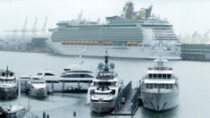 Royal Caribbean cancela cuatro cruceros debido a repunte de la pandemia