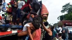 Encuentran más de 350 inmigrantes viajando hacinados en tractocamión en México