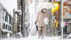 Un fuerte temporal de nieve mantiene a Tokio y los alrededores en alerta