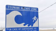 Tsunami golpea la costa oeste de EE.UU. y Canadá tras la erupción en Tonga