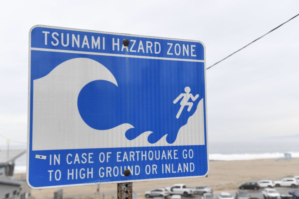 Tsunami golpea la costa oeste de EE.UU. y Canadá tras la erupción en Tonga