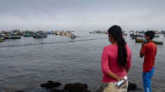 Pueblo peruano se une donando cabello para limpiar el mar tras lamentable derrame de petróleo