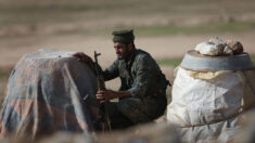 Anuncian recaptura de «todos» los miembros de ISIS fugados durante motín en Siria