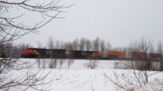 Investigan muerte de familia migrante abandonada en tormenta de nieve cerca de frontera de EEUU y Canadá