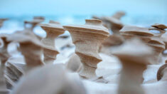 Fotógrafo capta asombrosos pilares de arena esculpidos por el viento a orillas del lago Michigan