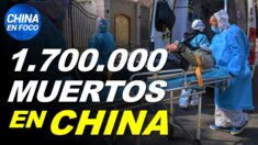 Revelan el número real de muertos en China por el virus. Matan a miles de hamsters en Hong Kong