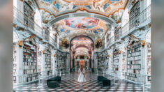 Fotógrafo muestra la biblioteca de abadía más grande del mundo, «uno de los lugares más mágicos»