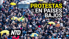 NTD Noticias: Holandeses desafían prohibición de protestar
