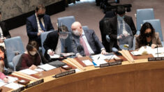 Consejo de Seguridad de la ONU celebra la primera reunión sobre las tensiones entre Rusia y Ucrania