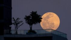 La “Luna de los castores” iluminará el cielo nocturno a finales de noviembre: esto es lo que debes saber