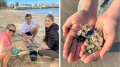 Limpieza de 800 voluntarios revela contaminación con microplásticos en playas de Australia