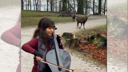 Impresionante momento en que unos ciervos se detienen a escuchar a joven española tocar el cello
