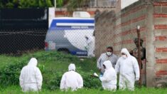 Hallan 9 cuerpos con señales de tortura en el estado mexicano de Veracruz