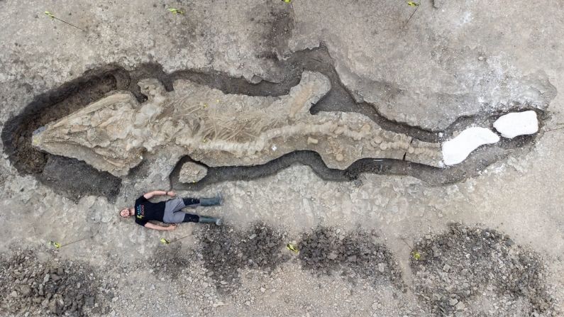 Descubren enorme fósil de un dragón de mar de 180 millones de años y 10 metros de longitud