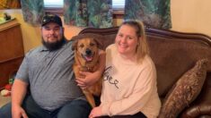 Familia se reúne con su perrita extraviada 3 años atrás, ¡estaba a 1200 millas de distancia!