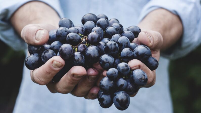 Una dieta antinflamatoria previene enfermedades cardíacas, diabetes y Alzheimer.(PxHere)