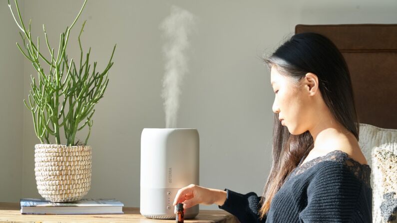 Los humidificadores pueden agregar humedad al aire interior que tiende a estar seco, incluso durante las épocas más húmedas del año. (Doterra International LLC/Pexels)