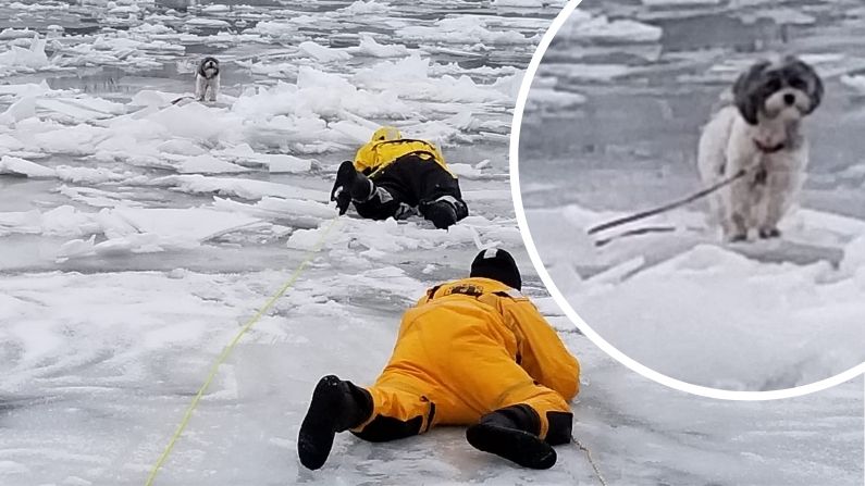 Bomberos rescatan a perrito Shih Tzu atrapado en medio de río congelado usando equipo especial