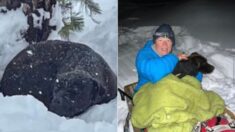 Rescatan a perrito perdido 4 meses atrás: ¡Estaba atrapado en medio de la nieve!
