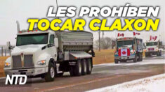 NTD Noticias: Canadá: ordenan a camioneros no tocar claxon; Aumentan donaciones para convoy de camioneros
